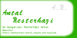antal mesterhazi business card