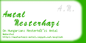 antal mesterhazi business card